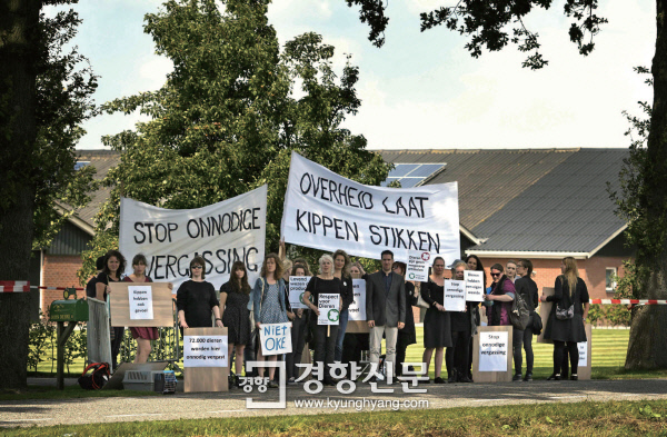 8월 8일 네덜란드의 한 가금류 농가 앞에서 동물보호단체 활동가들이 불필요한 닭 도살을 멈추라며 항의하는 시위를 하고 있다./APF=연합뉴스