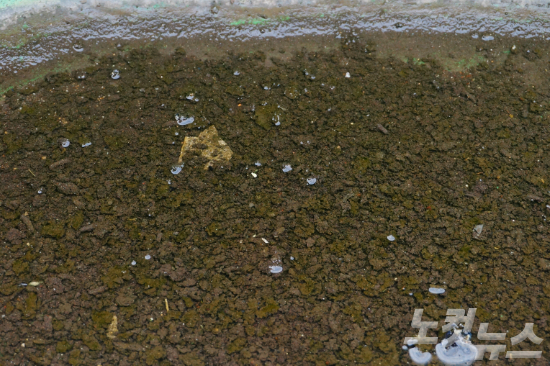 명덕마을 주민들이 사는 가옥 옥상에 쌓인 검은 가루. 한바탕 내린 소나기에도 물에 녹지 않고 가라앉아 있다. (사진=김광일 기자)