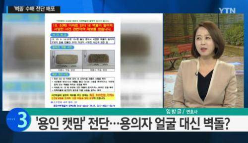 도넘은 캣맘 혐오증, 혹시 '용인 캣맘 사건' 용의자 아냐?