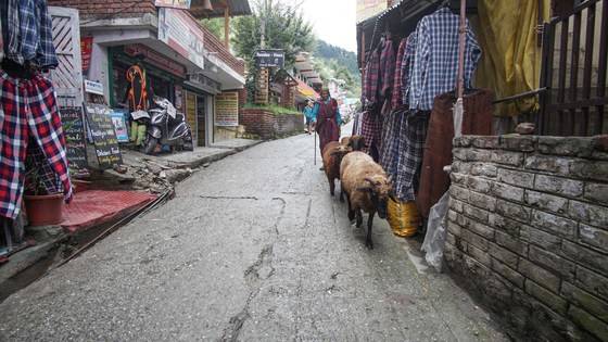 아기자기한 올드마날리 풍경.