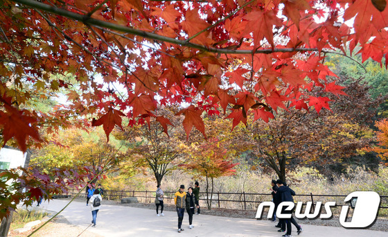 계룡산 수통골 © News1