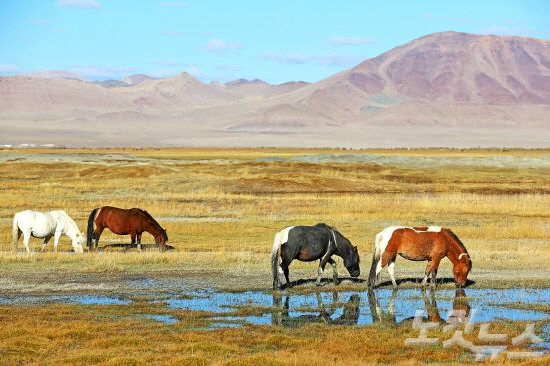 몽골의 추천코스는 몽골의 수도 울란바토르와 세계자연유산 테를지 국립공원, 낙타체험을 할 수 있는 고비사막이다. (사진=웹투어 제공)