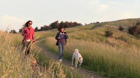 사진=JTBC '효리네 민박'