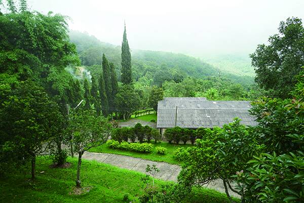 이국적인 열대 우림의 풍광을 볼 수 있는 도이인타논. ⓒ한빛라이프