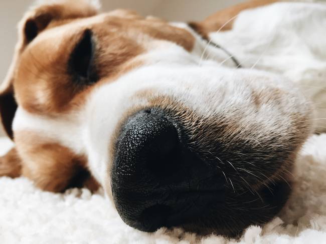 [사진=게티이미지뱅크]