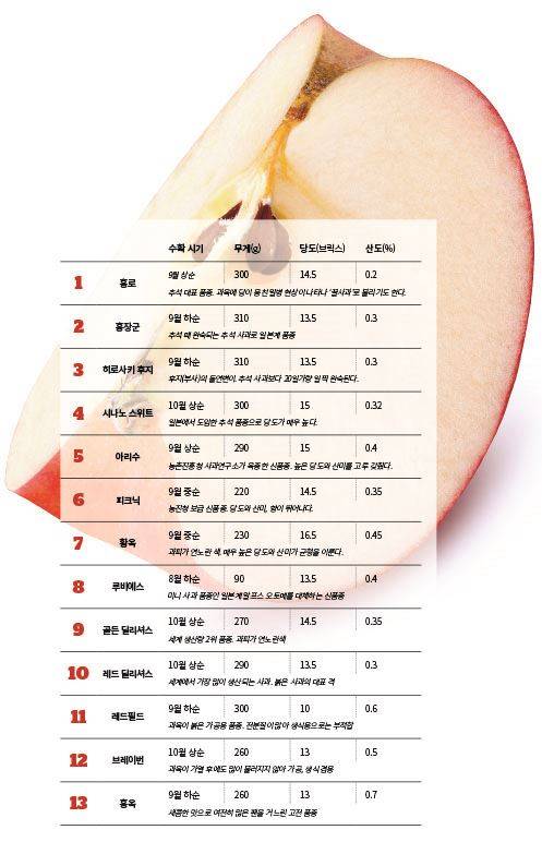 사과 품종과 특징