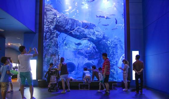 다누리 아쿠아리움에 있는 메인 수조 앞에서 관람객들이 사진 촬영을 하고 있다. [사진 단양군]