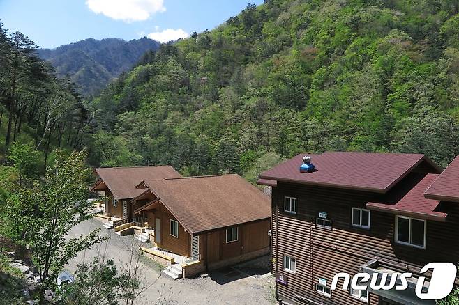 양양 미천골자연휴양림. 한국관광공사 제공.© News1