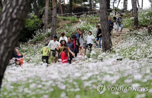 (정읍=연합뉴스) 정경재 기자 = 추석 연휴인 5일 오후 전북 정읍시 옥정호 구절초테마공원에서 열린 '제12회 정읍 구절초축제'를 찾은 관광객들이 경치를 감상하고 있다. 지난 1일 개막한 축제는 오는 15일까지 진행된다. 2017.10.5  jaya@yna.co.kr