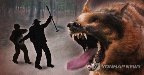 [연합뉴스 자료사진]