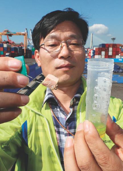 10월 9일 부산 남구 감만부두에서 검역당국 관계자가 붉은불개미 덫을 살펴보고 있다.[뉴스1]