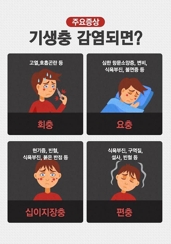 구충제 감염시 주요 증상