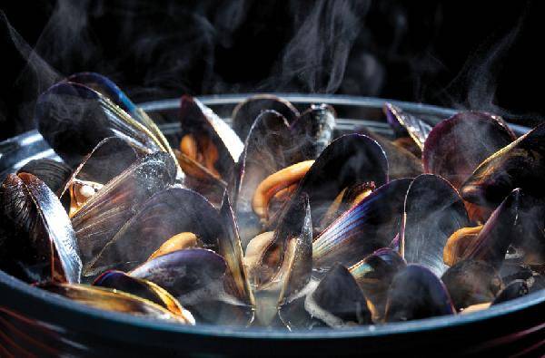 [월간산]날이 추워질수록 맛있는 홍합탕. 별다른 간을 하지 않고 홍합만 넣고 끓여도 감칠 맛 나는 국물이 뽀얗게 우러난다.