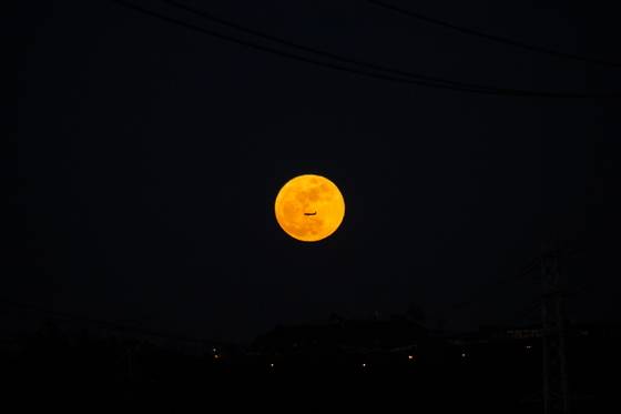 정주영 대표가 처음으로 촬영에 성공한 '보름달 속 비행기' 사진. [사진 이상원]