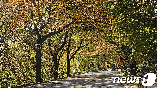 관광공사 11월 추천 여행지, 아차산 © News1