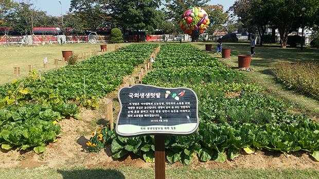 국회 헌정회관 인근의 국회생생텃밭[사진=윤범기 기자]