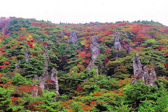 영주십경 영실 단풍