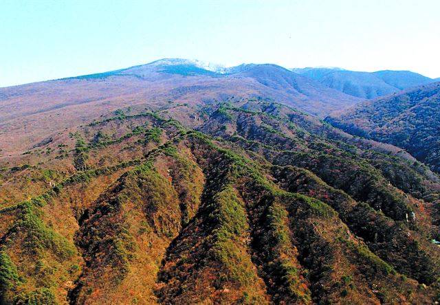 골머리오름 단풍