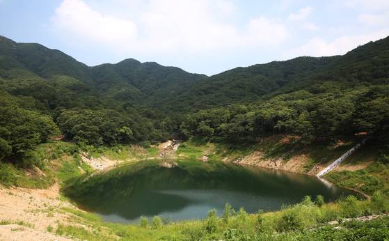 청계산 단풍도 감상할 수 있는 대공원 숲속 저수지. ［사진 서울대공원］