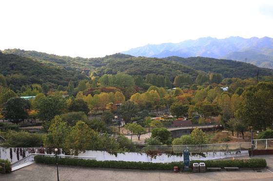 리프트를 타면 대공원의 단풍 전경이 한 눈에 보인다. ［사진 서울대공원］