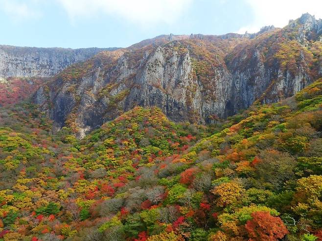 최근 절정을 이룬 한라산 단풍. 제주도 제공