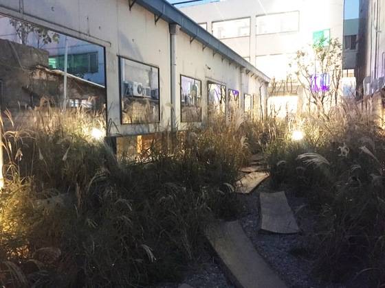 철문을 통과해 안전가옥으로 들어가는 갈대 길. 인스타에 많이 올라오는 장소다. 윤경희 기자