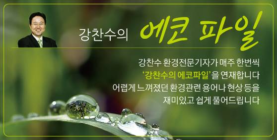 ☝ 배너를 클릭하면 '강찬수의 에코 파일'을 더 보실 수 있습니다.