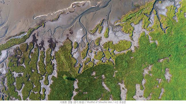 조성준의 '시화호 갯벌' [사진 호영피앤씨]