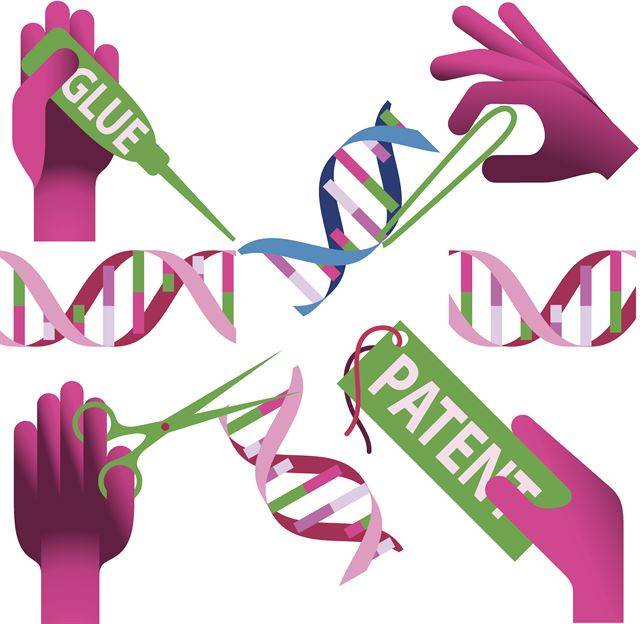 2012년 크리스퍼 유전자 가위가 등장한 이래 크리스퍼 유전자 가위의 가능성과 한계에 대한 논쟁들이 뜨거워지고 있다. 게티이미지뱅크