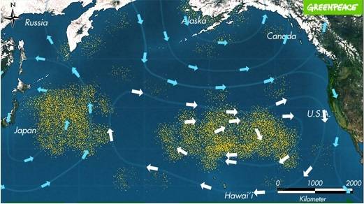 태평양 한 가운데 위치한 쓰레기 섬. 전 세계에서 버려진 플라스틱과 알루미늄캔, 비닐 등 쓰레기가 해류를 타고와 거대한 섬을 이뤘다. 면적은 70만k㎡로 한반도(22만k㎡)의 3.2배에 달하며 계속 커지고 있다. [그린피스]