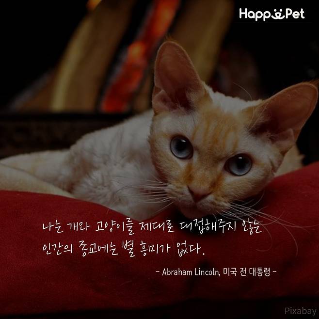 제작tool=tyle© News1