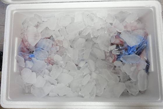 부산에서 생아귀가 도착하면 다시 깨끗이 세척해 얼음에 재운다. 그러면 살이 탱탱해지고 신선도가 오래 유지된다고 한다. ‘홍박아구찜’ 스타일이다.