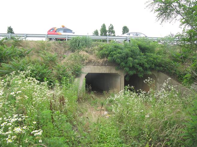 호남고속도로에 설치된 터널형 생태이동통로 [사진 국립생물자원관 한상훈 박사]