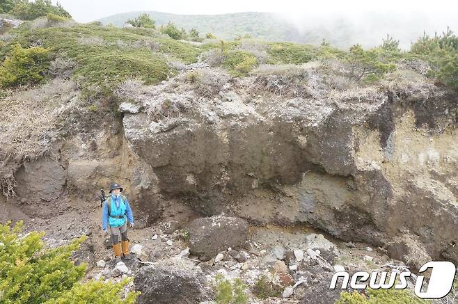 제주특별자치도 세계유산본부는 한라산 백록담 남서쪽 모세왓(모레밭을 말하는 제주어) 일대에 길이 2.3㎞, 폭 500~600m, 두께 2~6m의 규모의 코멘다이트(comendite)로 분류되는 암석을 처음으로 확인했다고 20일 밝혔다. 코멘다이트라는 암석 명칭은 이탈리아의 산 피에트로섬(San Pietro Island)의 ‘리 코멘데’지역에 분포하는 알칼리 유문암에서 유래한 암석명이다. 지금까지 한반도에서는 백두산에만 분포하는 것으로 확인돼 왔던 암석이 처음으로 한라산 고지역에도 분포하는 것으로 확인된 것이라는 게 세계유산본부의 설명이다. 사진은 모세왓 일대 침식부에 드러난 코멘다이트질 각력암 노두 전경이며 두께가 약 6m에 이른다. © News1 고경호 기자