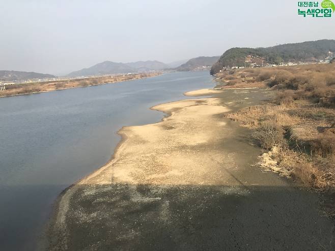 금강 3개 보 수문 개방 뒤 백제보 상류 왕진교 밑에 모습을 드러낸 모래톱. 대전충남녹색연합 제공.