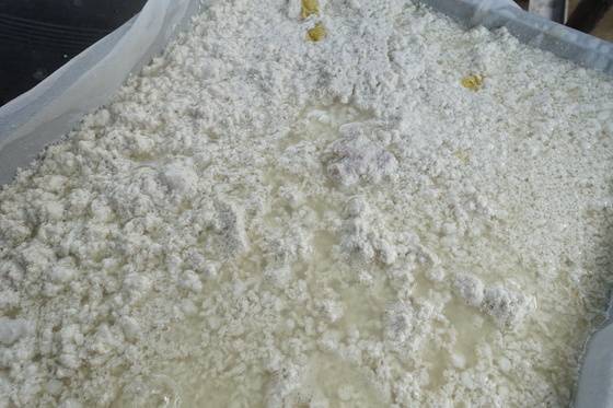 꿩두부를 굳히려고 틀에 퍼 담았다. 꿩고기 덩어리가 두어 개 보인다.