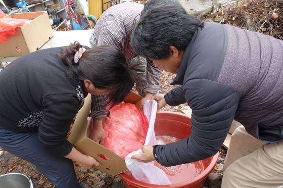 간수를 거르려고 순두부를 망사 자루에 붓고 있다.