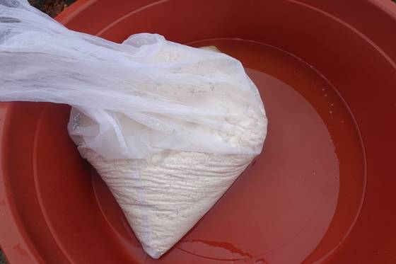 간수 빼고 찬물 샤워를 마친 순두부.