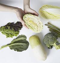 무·매실·양배추 등은 위장 건강에 도움이 된다./사진=헬스조선DB