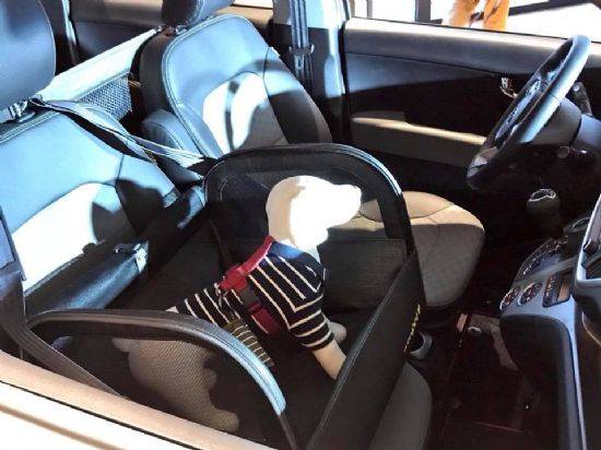 강아지 모양의 인형이 기아차 더 뉴 레이 '튜온 팻' 카시트에 배치된 모습 (사진=지디넷코리아)