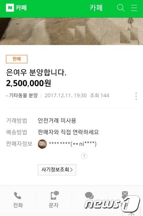 한 동물 분양 전문 인터넷카페에서 '은여우'를 분양 중인 모습.© News1