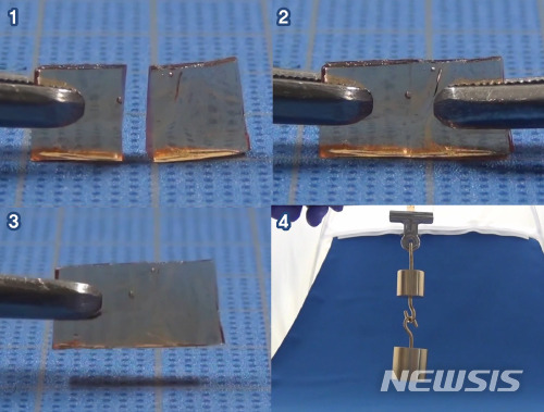 【서울=뉴시스】일본 도쿄(東京)대학 연구진이 깨져도 다시 붙는 유리를 개발했다. 이 유리는 깨졌다가도 깨진 단면을 서로 맞대어 누르기만 하면 몇 십 초 만에 다시 붙고, 몇 시간 후 원래 강도로 회복된다. 연구팀은 반투명 신소재인 '폴리에테르 요소'라는 재료로 이 유리를 제작했다. 사진은 깨진 유리(1번)의 단면을 서로 맞대어 눌렀더니(2번) 다시 붙는 것(3번)으로, 이 유리에 300g상당의 추를 매달아 들어올리는(4번) 모습이다. 유리의 크기는 가로·세로 20×10㎜, 두께 2㎜이다. (사진출처: 도쿄대학 제공 동영상 캡쳐) 2017.12.15.