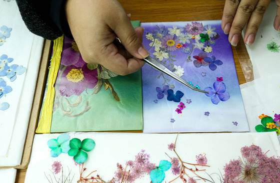 전남 구례 대한민국압화박물관에서 임성은 학예사가 압화 작품 제작 시범을 보이고 있다. [사진 프리랜서 장정필]