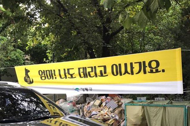 길고양이 이주를 촉구를 하기 위해 서울 강동구 둔촌주공아파트에 설치된 현수막이다. '둔촌냥이' 페이스북