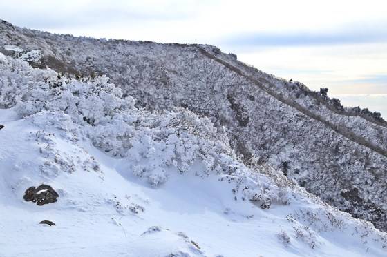 병풍바위까지 가파른 능선을 타고 올라오면 한라산 용암이 천천히 흘러내려 굳어진 고위평탄면이 드러난다. 병풍바위까지 올랐으면 고생 끝이다.