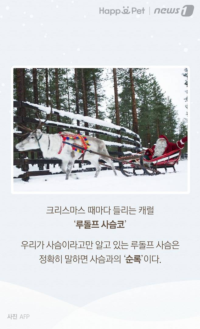 사진=AFP