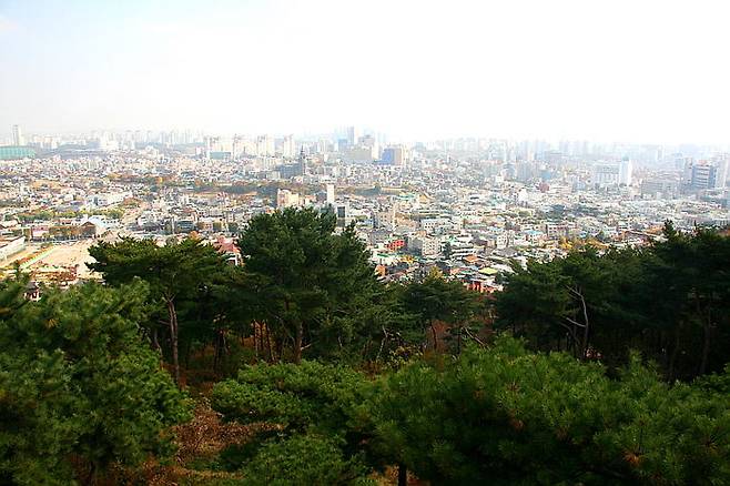 서장대에서 바라본 수원 시내 전경