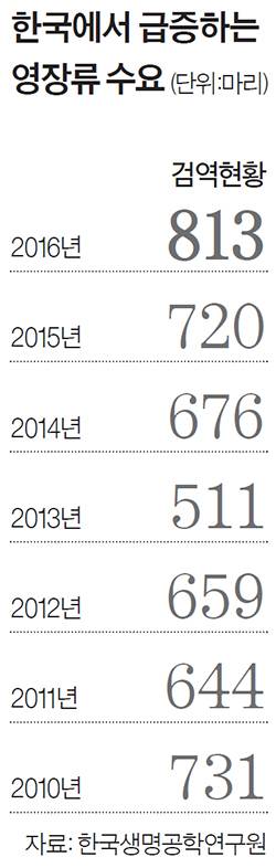 한국에서 급증하는 영장류 수요