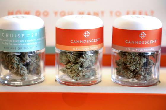 성인 1인당 최대 28g까지 오락용 마리화나를 구입해 흡입,사용할 수 있다.[연합뉴스]