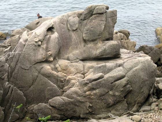 천학정 해안바위. [사진 김순근]